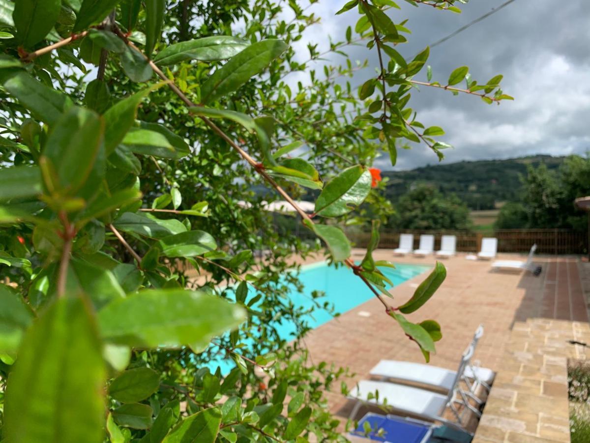 Agriturismo La Palazzetta Di Assisi Exterior foto