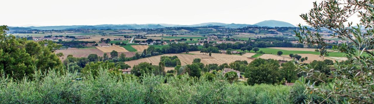 Agriturismo La Palazzetta Di Assisi Exterior foto